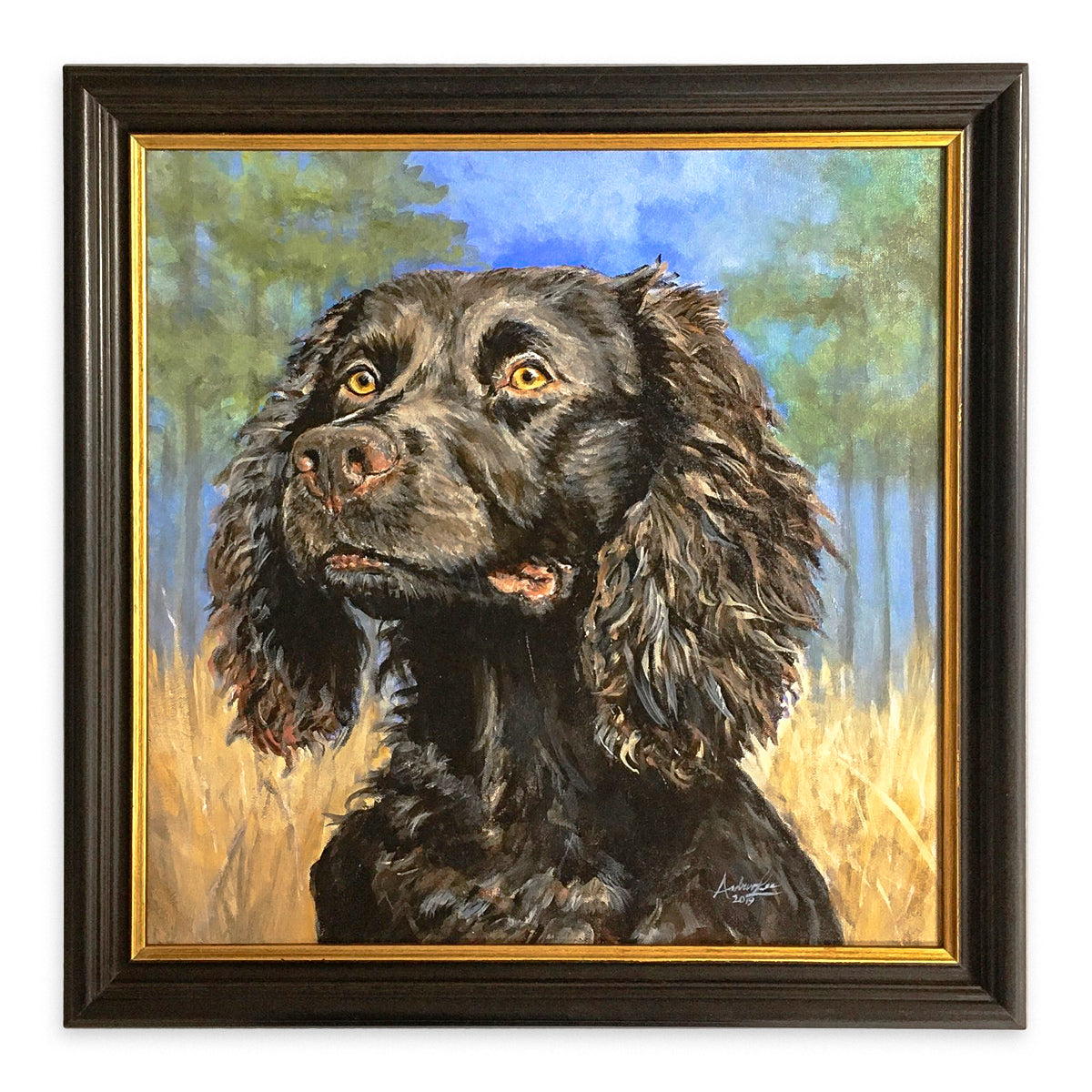 Golden Eye, Boykin Spaniel, 20x20"