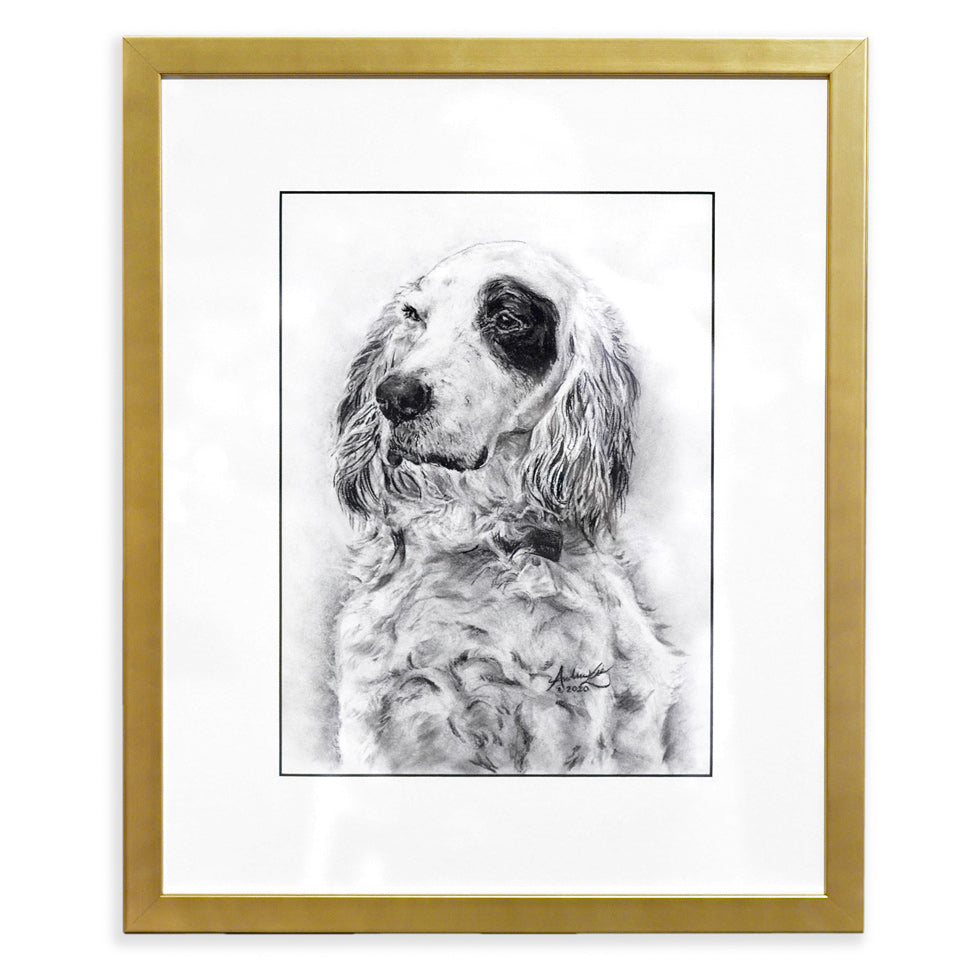 Pet Portrait Drawing, Pencil, Ink, Charcoal