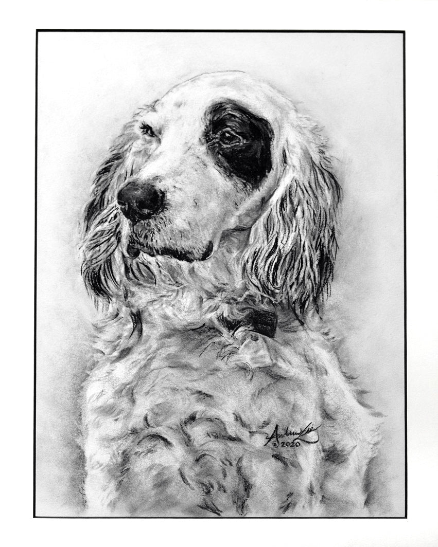 Pet Portrait Drawing, Pencil, Ink, Charcoal