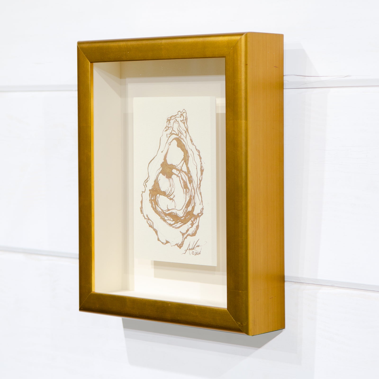 Gold Oyster, Floated in Gold Shadow Box - Andrew Lee Design