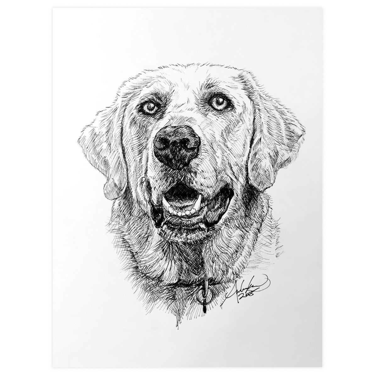 Graphite pet portrait drawings by Kathrin Guenther