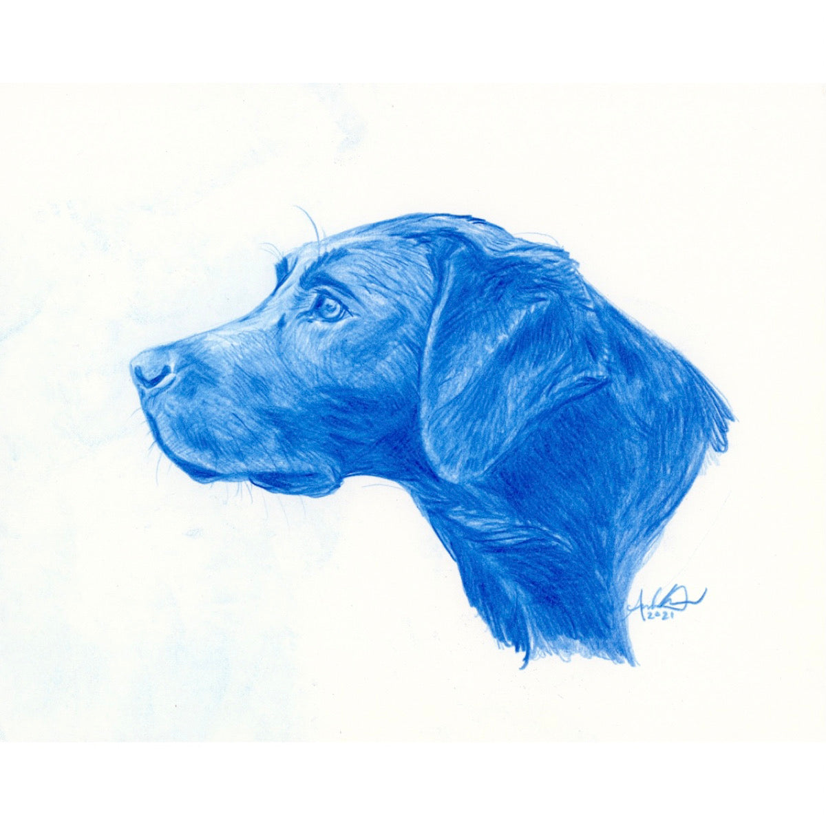 Black Labrador Profile in Blue, original 8x10”