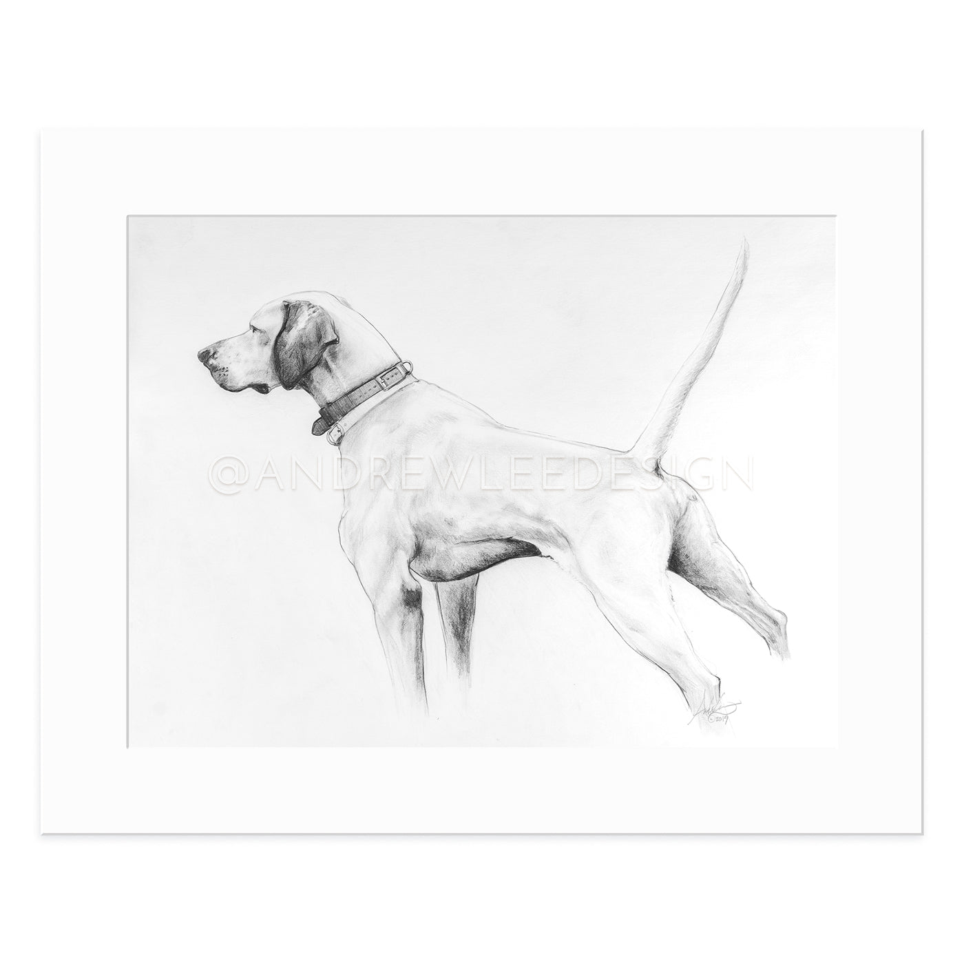 The Golden Hour Hunt (English Pointer Study), 14x16.5"