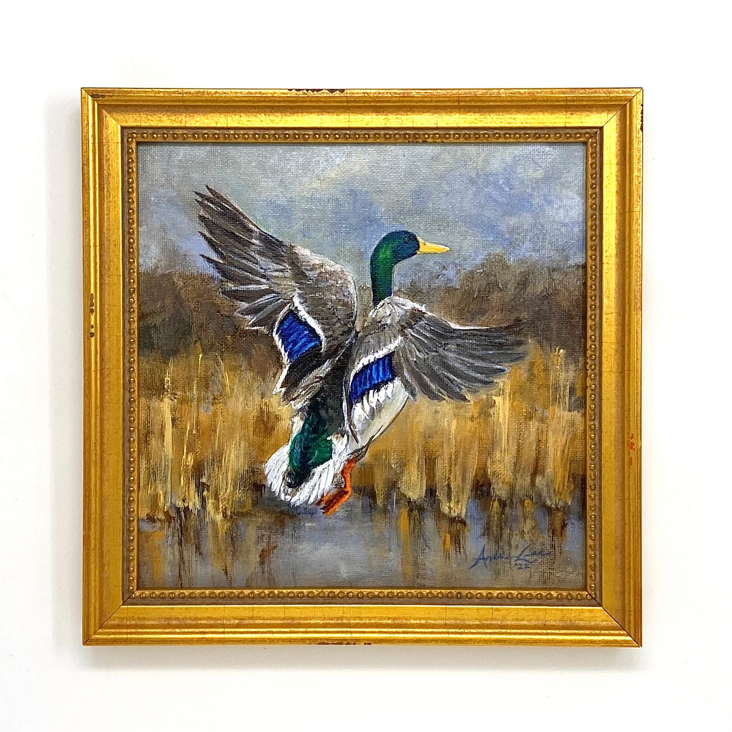 Mallard Rising, Original 8x8" Acrylic Painting
