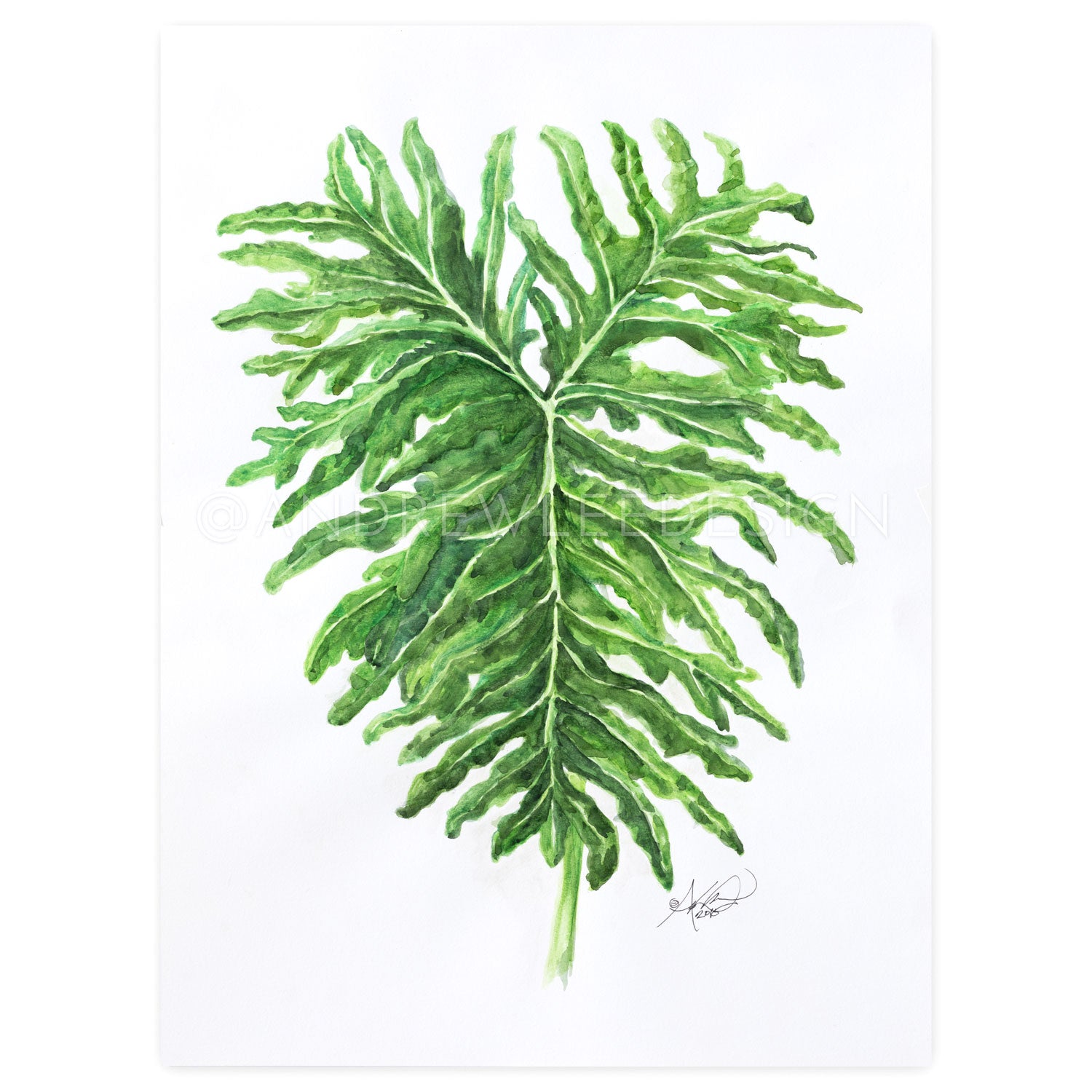 Audubon Zoo Philodendron Leaf, 18x24"