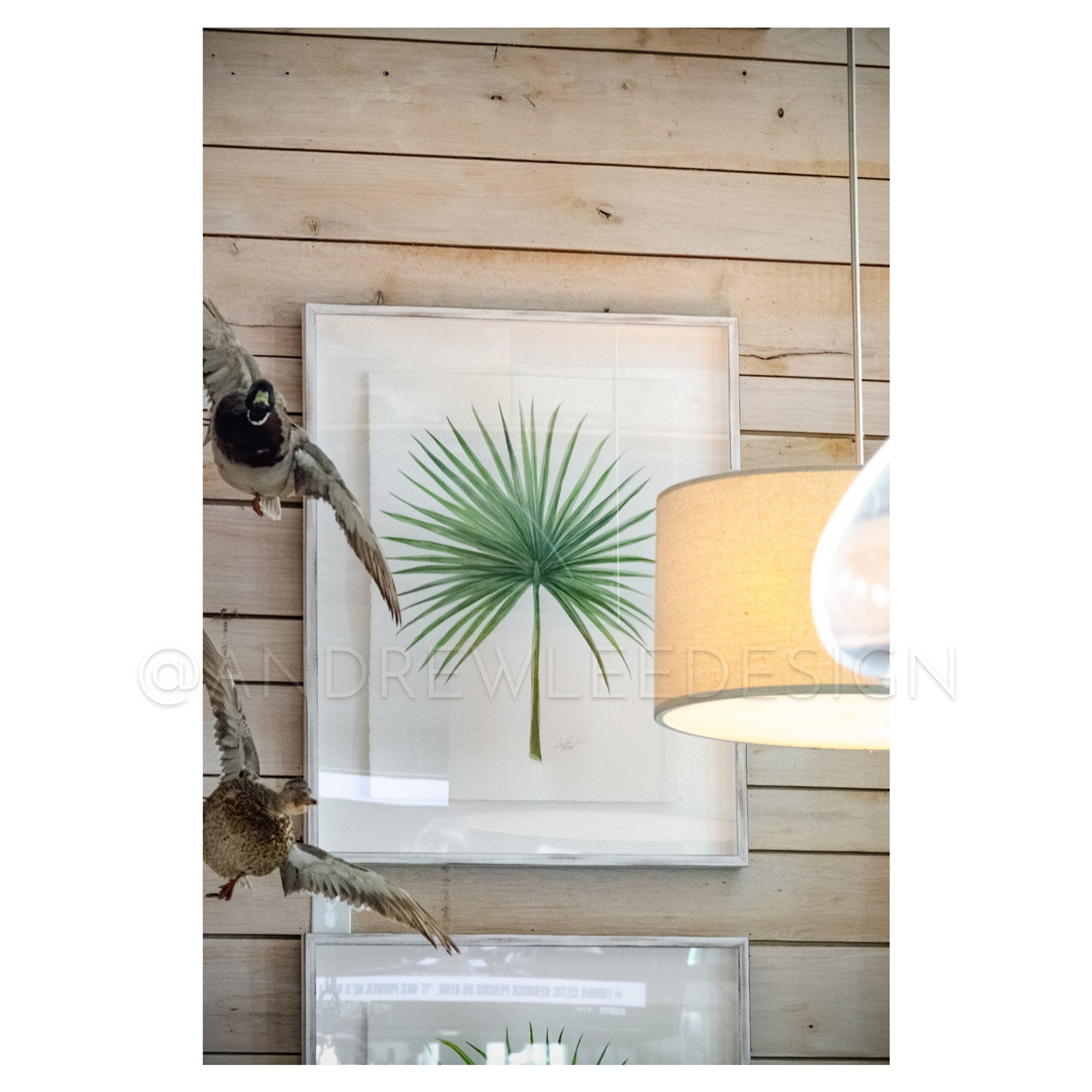 Saw Palmetto 1 of 2, 22x30"