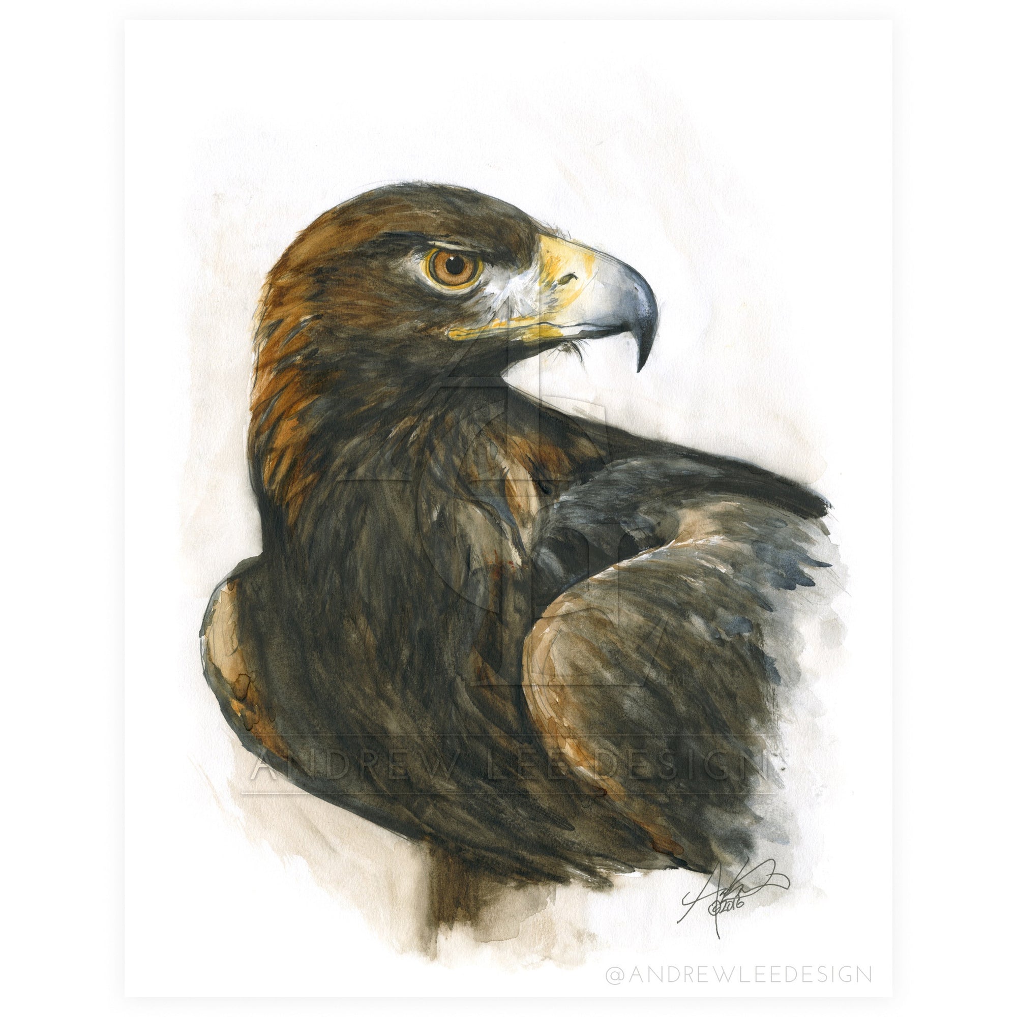 Regal Golden Eagle, Print