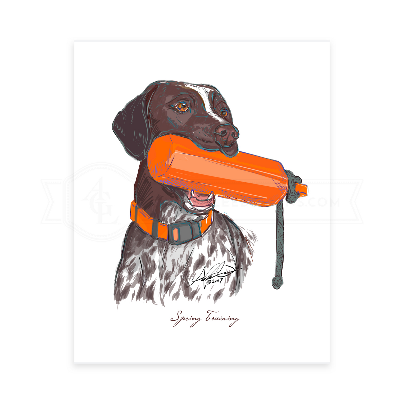 Spring Training, Print