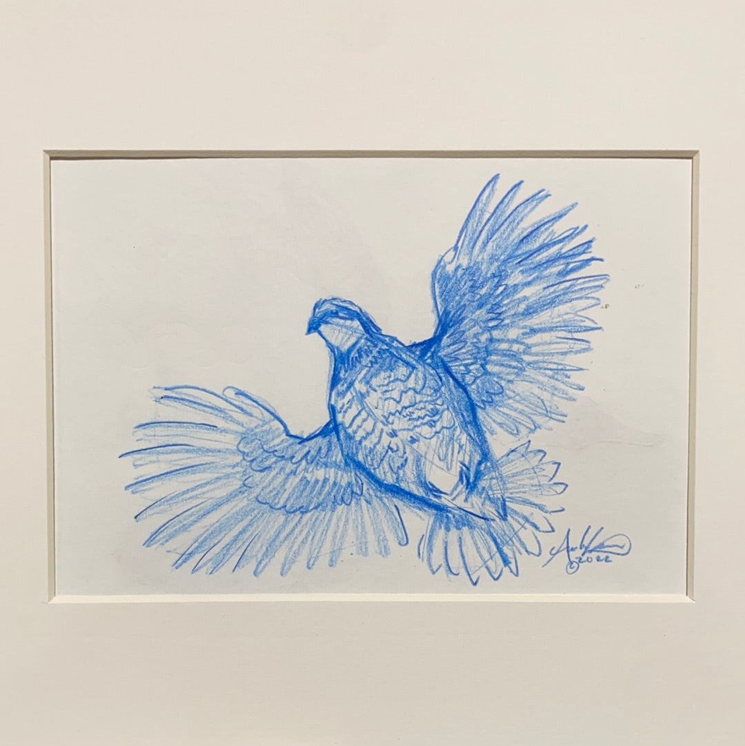 Bobwhite in Blue, Original 5x7”