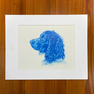 Boykin Spaniel Profile in Blue, Original 8x10”
