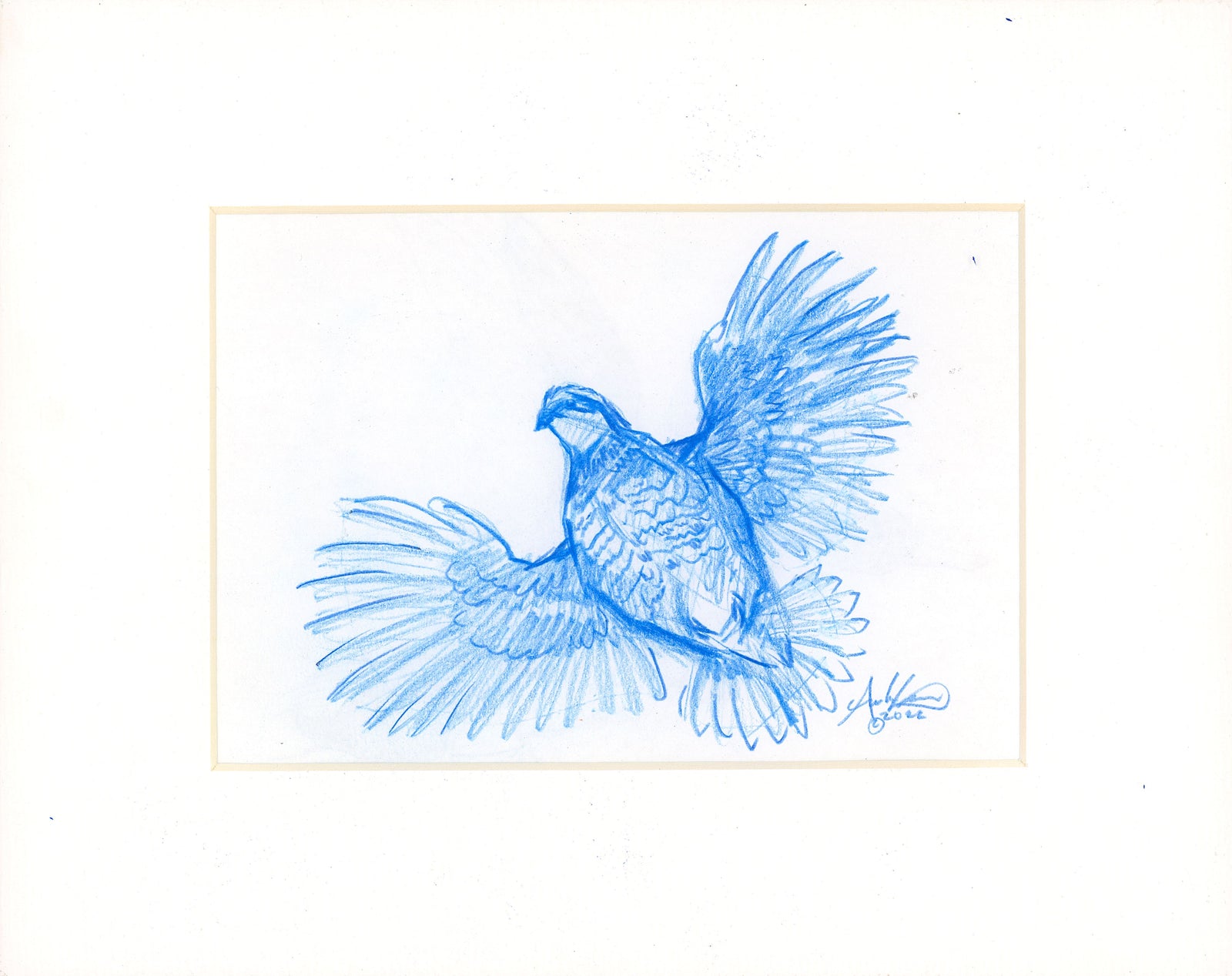 Bobwhite in Blue, Original 5x7”