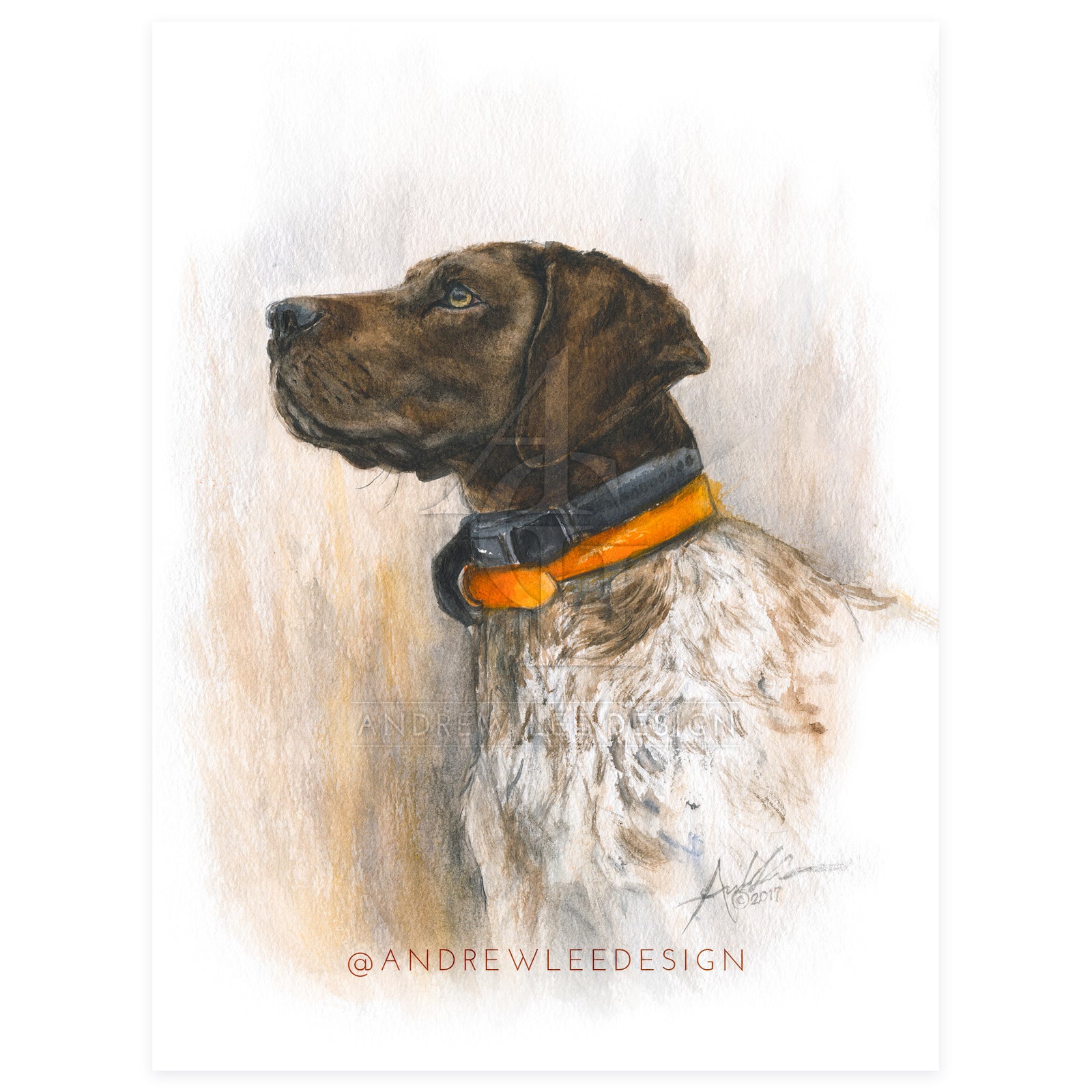 What's on the Horizon, German Shorthair Pointer