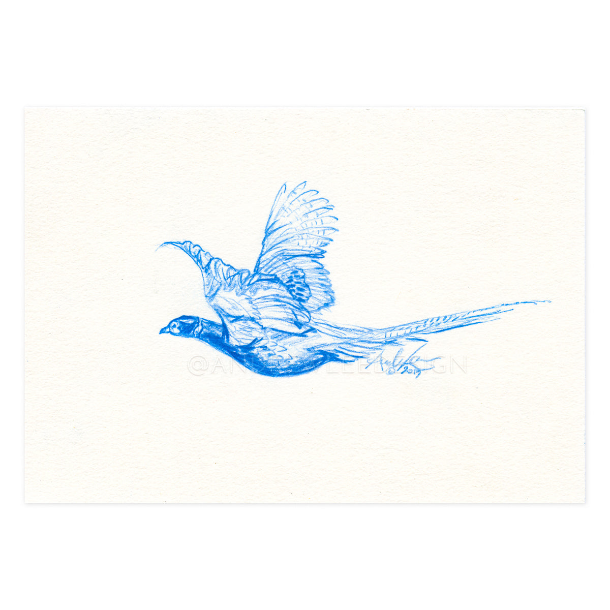 Pheasant Flight in Blue, 4x6"