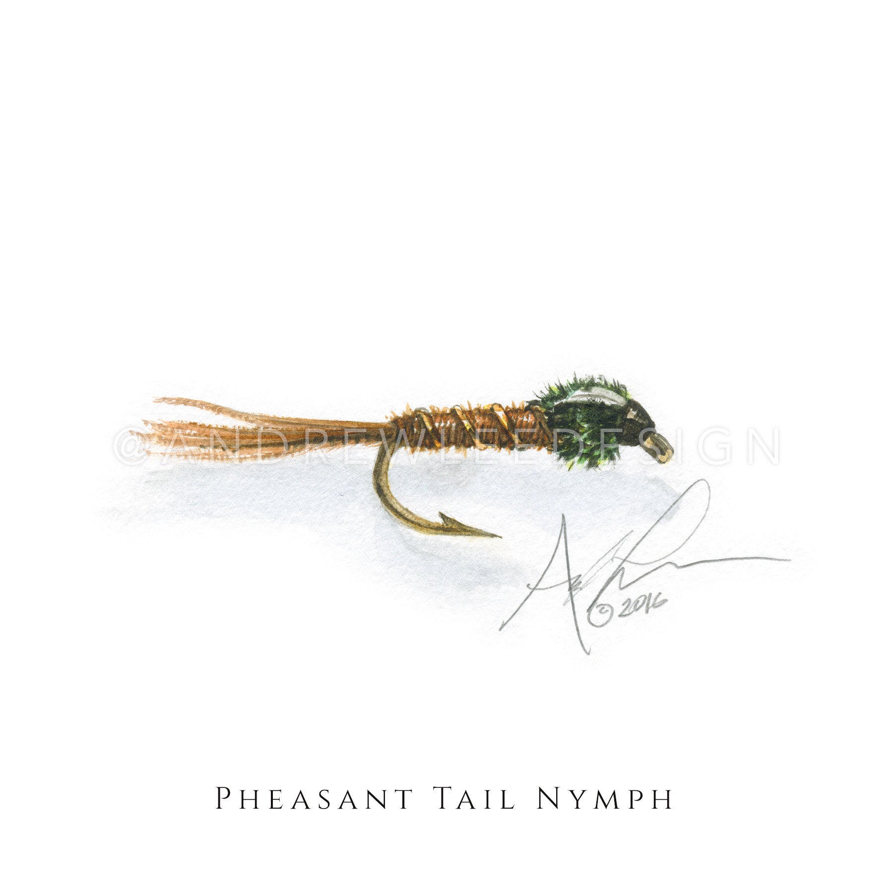 Pheasant Tail T-Shirt