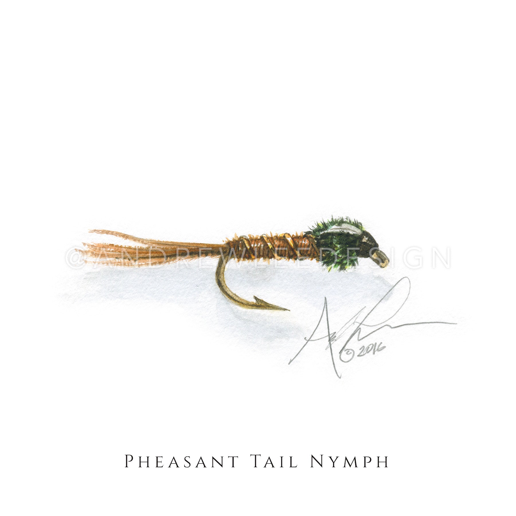 Fly - Pheasant Tail Nymph Pattern