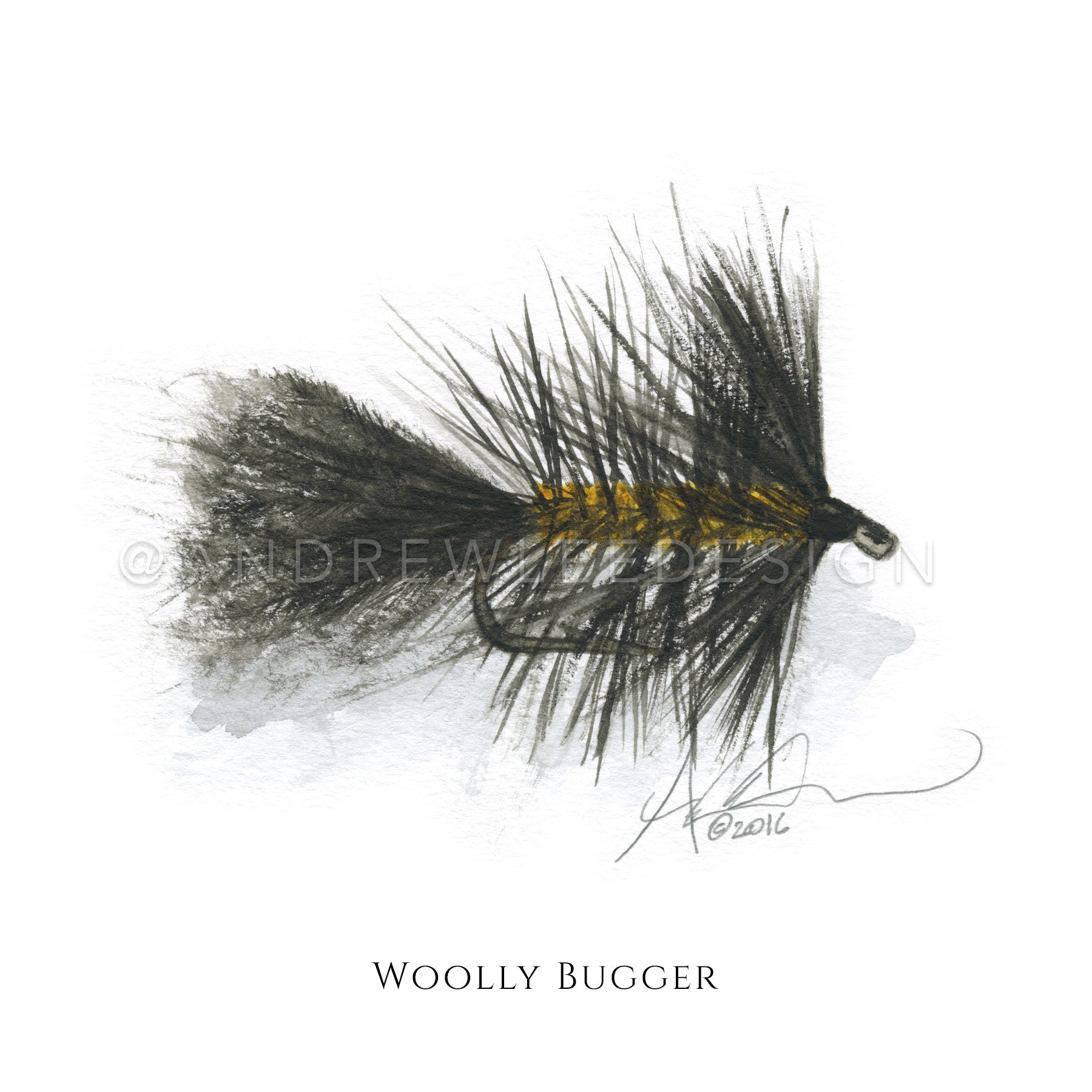 Fly - Black Woolly Bugger Pattern